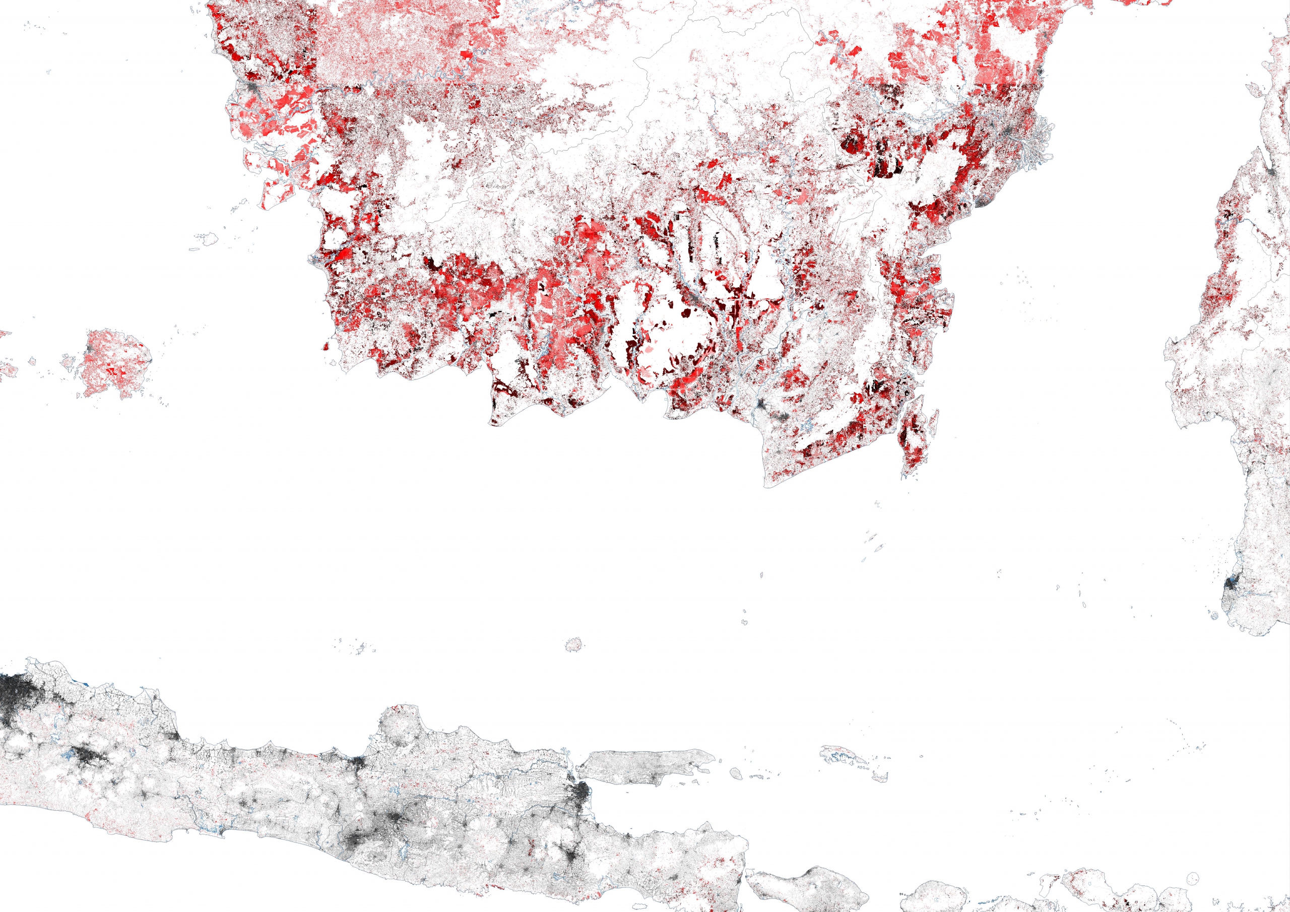 Archive of Destruction borneo